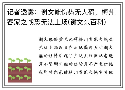 记者透露：谢文能伤势无大碍，梅州客家之战恐无法上场(谢文东百科)