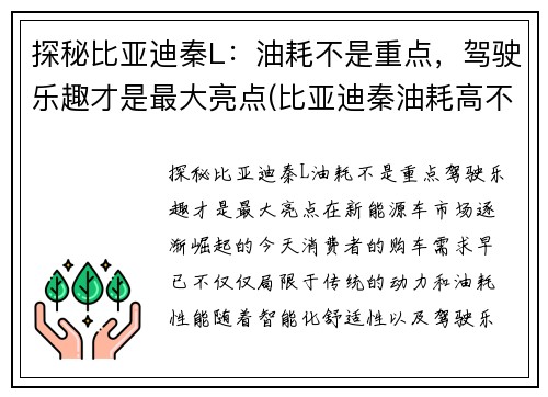 探秘比亚迪秦L：油耗不是重点，驾驶乐趣才是最大亮点(比亚迪秦油耗高不高)