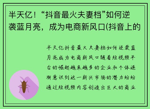 半天亿！“抖音最火夫妻档”如何逆袭蓝月亮，成为电商新风口(抖音上的蓝月可以挣钱吗)