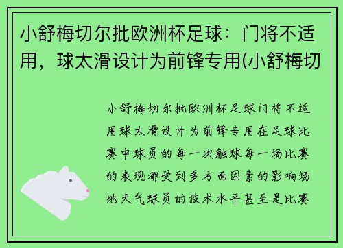 小舒梅切尔批欧洲杯足球：门将不适用，球太滑设计为前锋专用(小舒梅切尔厉害吗)